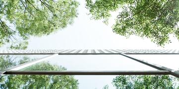 Ökologische Verantwortung 