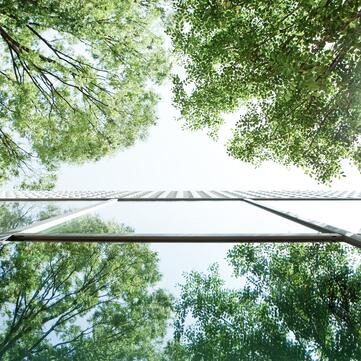 Ökologische Verantwortung 